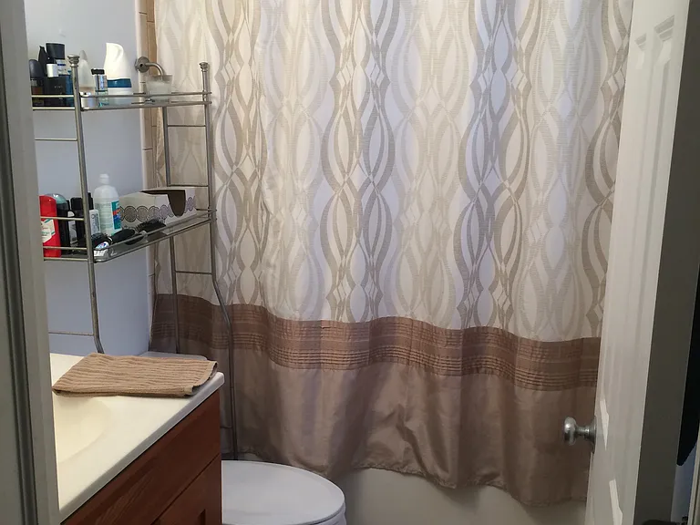 932 W Wilson Ave #2C — Photo 7