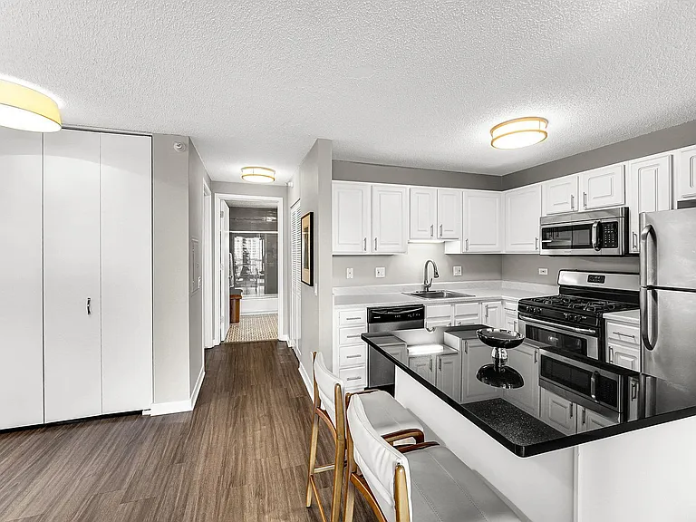 545 N Dearborn St #3006 — Photo 4