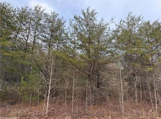 Tbd Mount Zion Rd, Ferguson, NC 28624