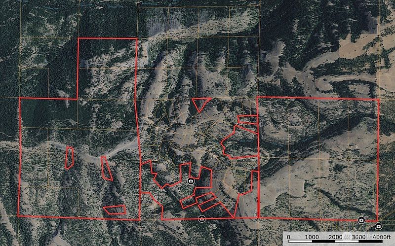 5th image of 1524 Nasty Creek Road