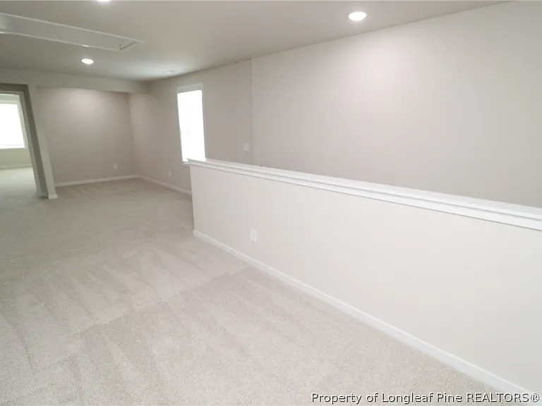 4129 Hazel Branch Way — Photo 20