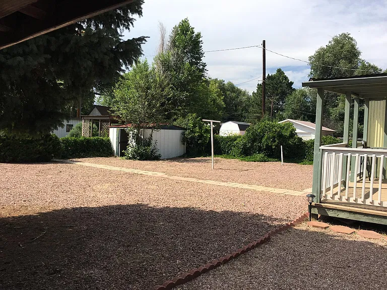 View of shed and yard