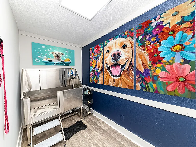 Pet Grooming Station