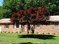 1st image of 3212 Hemlock Dr