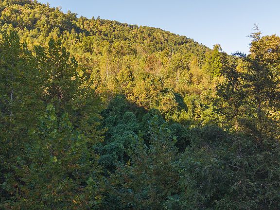 2nd image of 0 Black Valley Rd