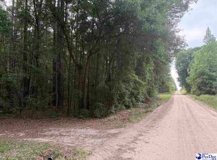 Flat Creek Rd, Darlington, SC 29540