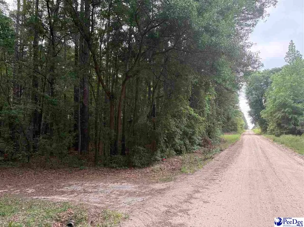 Flat Creek Rd, Darlington, SC 29540