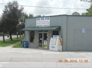 101 S Palm Ave, Howey In the Hills, FL 34737