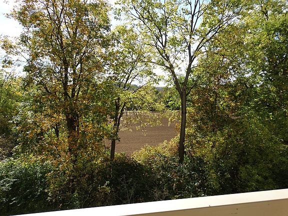 View from Deck
