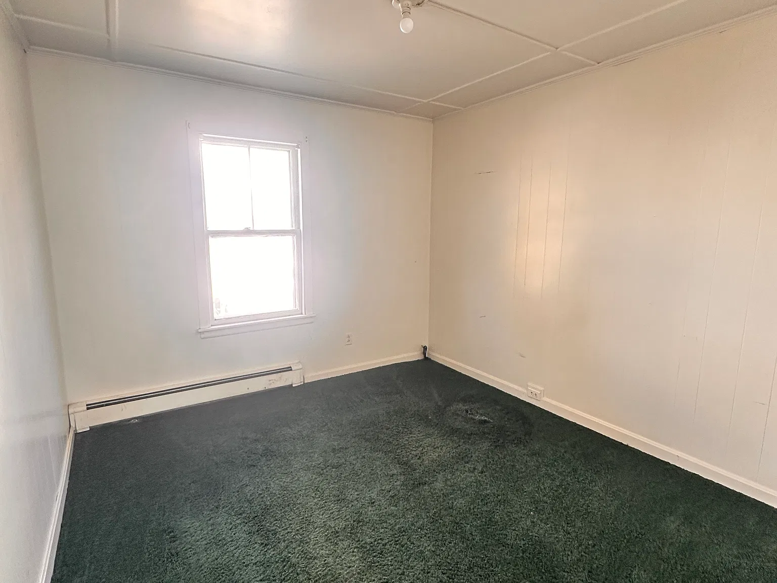 7 Elmwood Ave — Photo 3