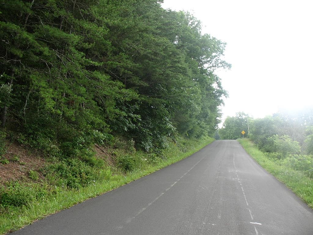 Brush Creek Rd, Fries, VA 24330 MLS 87565 Zillow