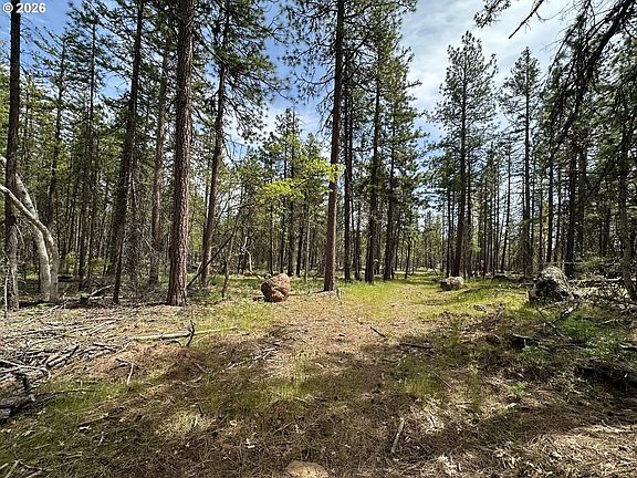 5th image of Pipeline Rd