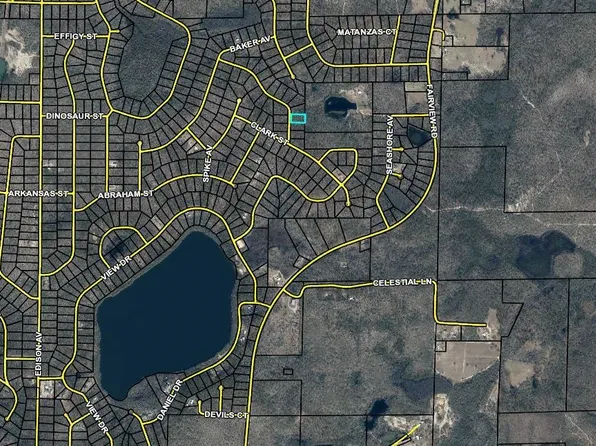 Alene Dr, Alford, FL 32420