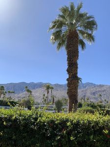1705 Capri Cir, Palm Springs, CA, 92264