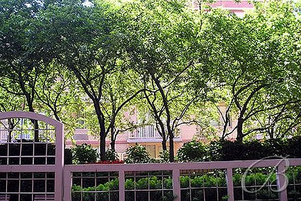 Rented by Bellmarc Realty | media 20