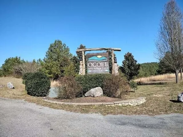 115 Casson Rd, Ocoee, TN 37361