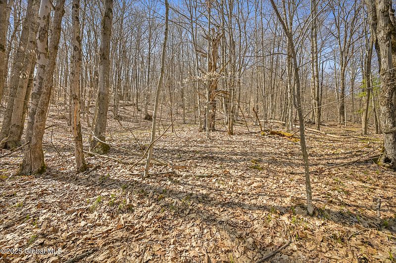 2nd image of L9.114 Lutheranville Road