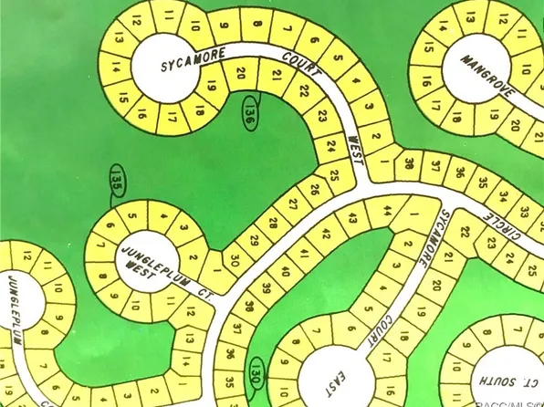16 Sycamore Ct W, Homosassa, FL 34446