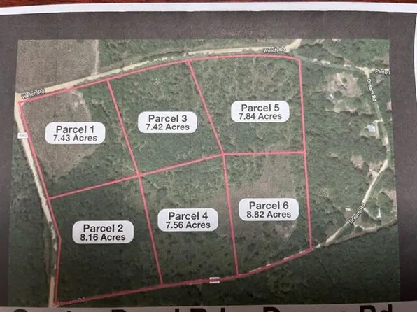 Welch Rd Parcel 5, Wagener, SC 29164