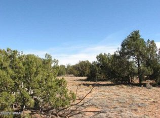 21 Chevelon Retreat #1, Heber, AZ 85928