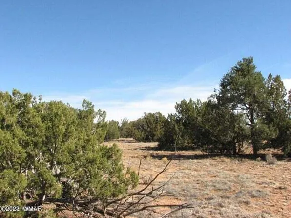 21 Chevelon Retreat #1, Heber, AZ 85928