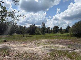 Dayflower Blvd, Wesley Chapel, FL 33544
