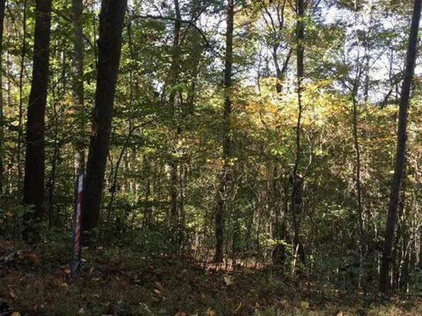 63 Overlook Trl, Maynardville, TN 37807