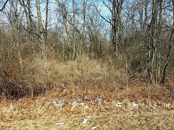 5th image of 7966 Wills Run Ln