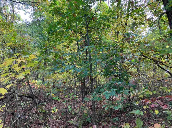 County Rd N #12-13, Almond, WI 54909