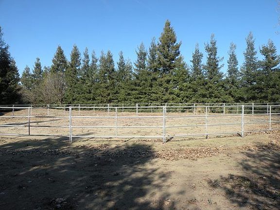 Back working pen for horses