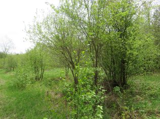 14108 Fire Tower Rd, Sidnaw, MI 49961