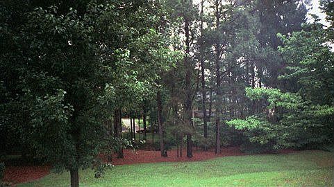 front yard view #3