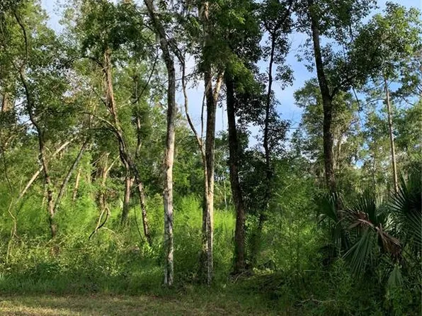 625 W Dr Martin Luther King Jr Blvd #18, Brooksville, FL 34601