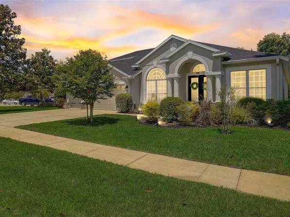 21527 Wilderness Lake Blvd, Land O Lakes, FL 34637