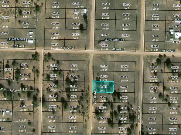 00 Spruce Street, Hartsel, CO 80449