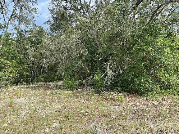 3rd image of 6446 N Bluebonnet Dr