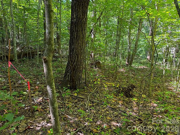 3rd image of 99999 High Top Mountain Rd Lot 1