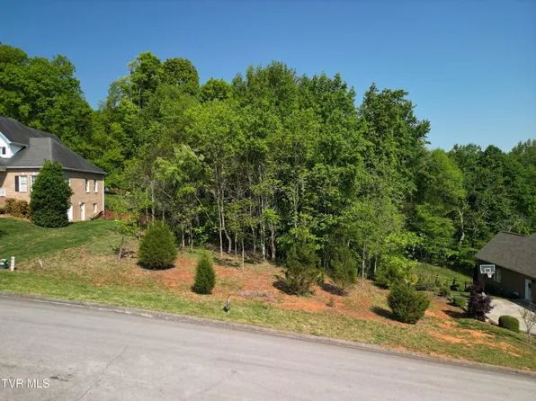 160 Sugarcane Ln, Blountville, TN 37617