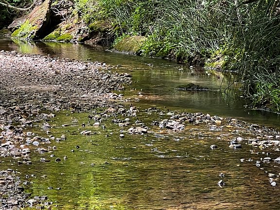 Bear Creek