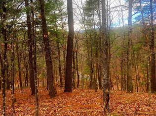 King St, Basye, VA 22810