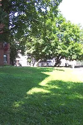 Sold by Douglas Elliman | media 31