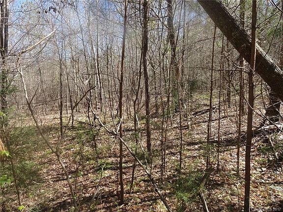 2nd image of LOT 7 Everwood Ln