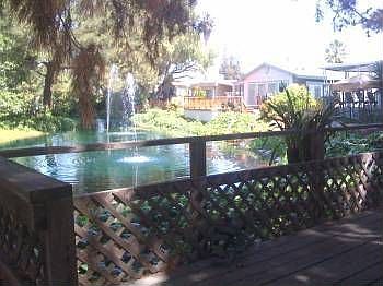 2nd image of 3637 Snell Ave Spc 41