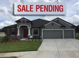 11028 Brahman Ranch Cir, Riverview, FL 33578