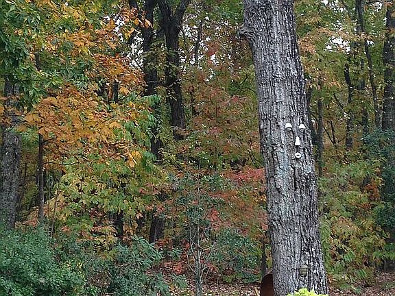 Beautiful fall colors