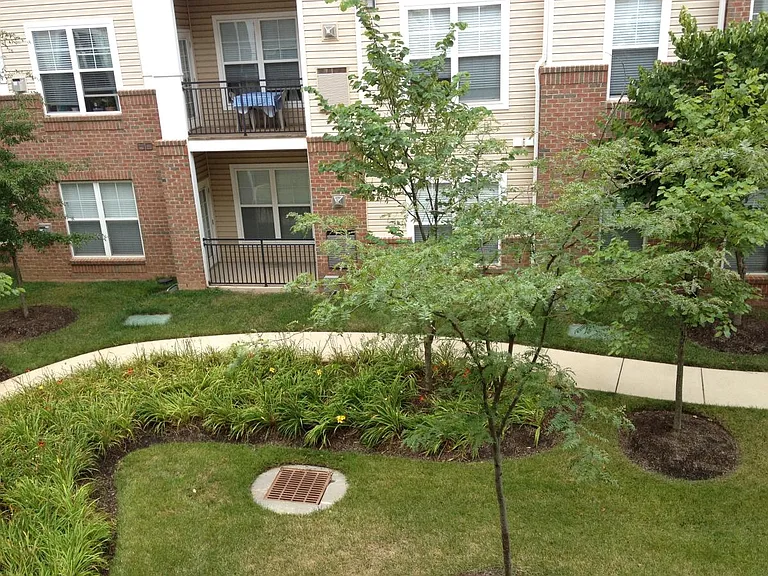 3810 Lightfoot St #208 — Photo 13