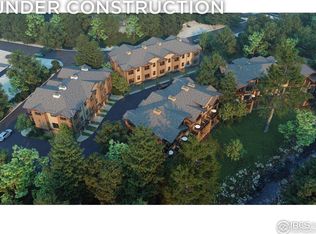 185 Vasquez Rd #D2, Winter Park, CO 80482
