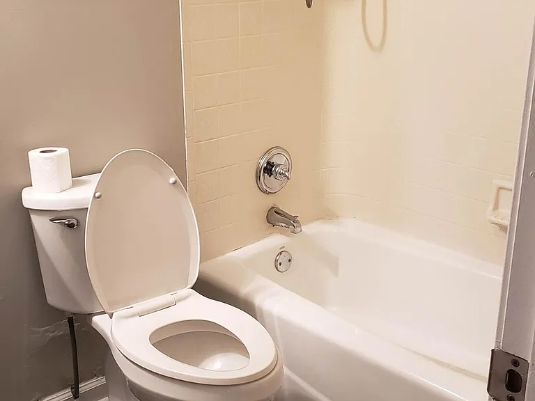 Hall Bathroom-View#1, freshly painted.
