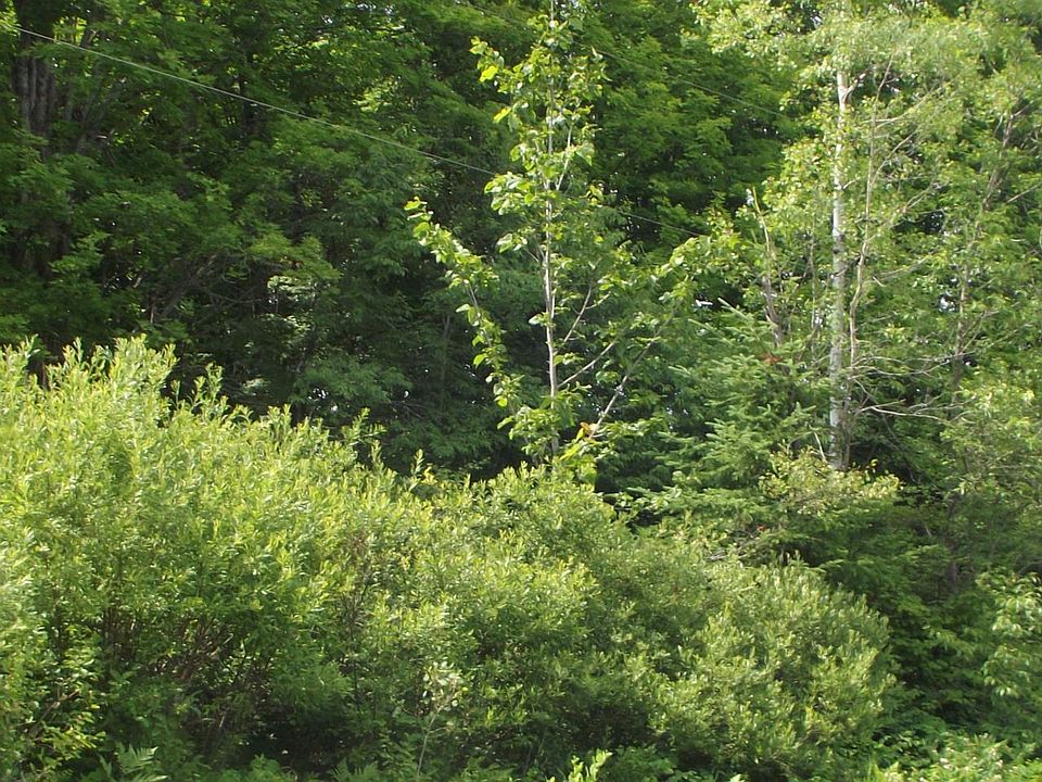 2nd image of 3 On Dream Lake Rd
