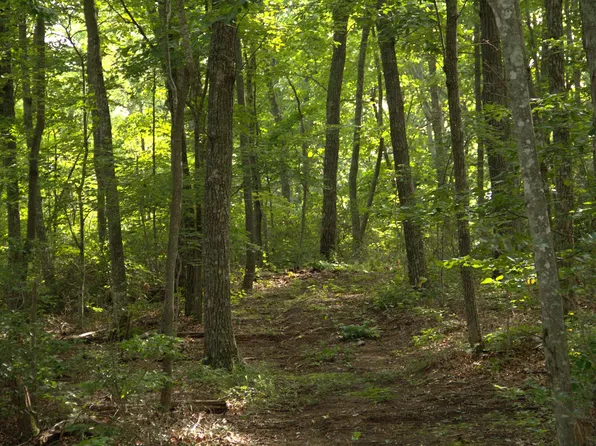 0 Bluff Line Dr Lot 26, McMinnville, TN 37110